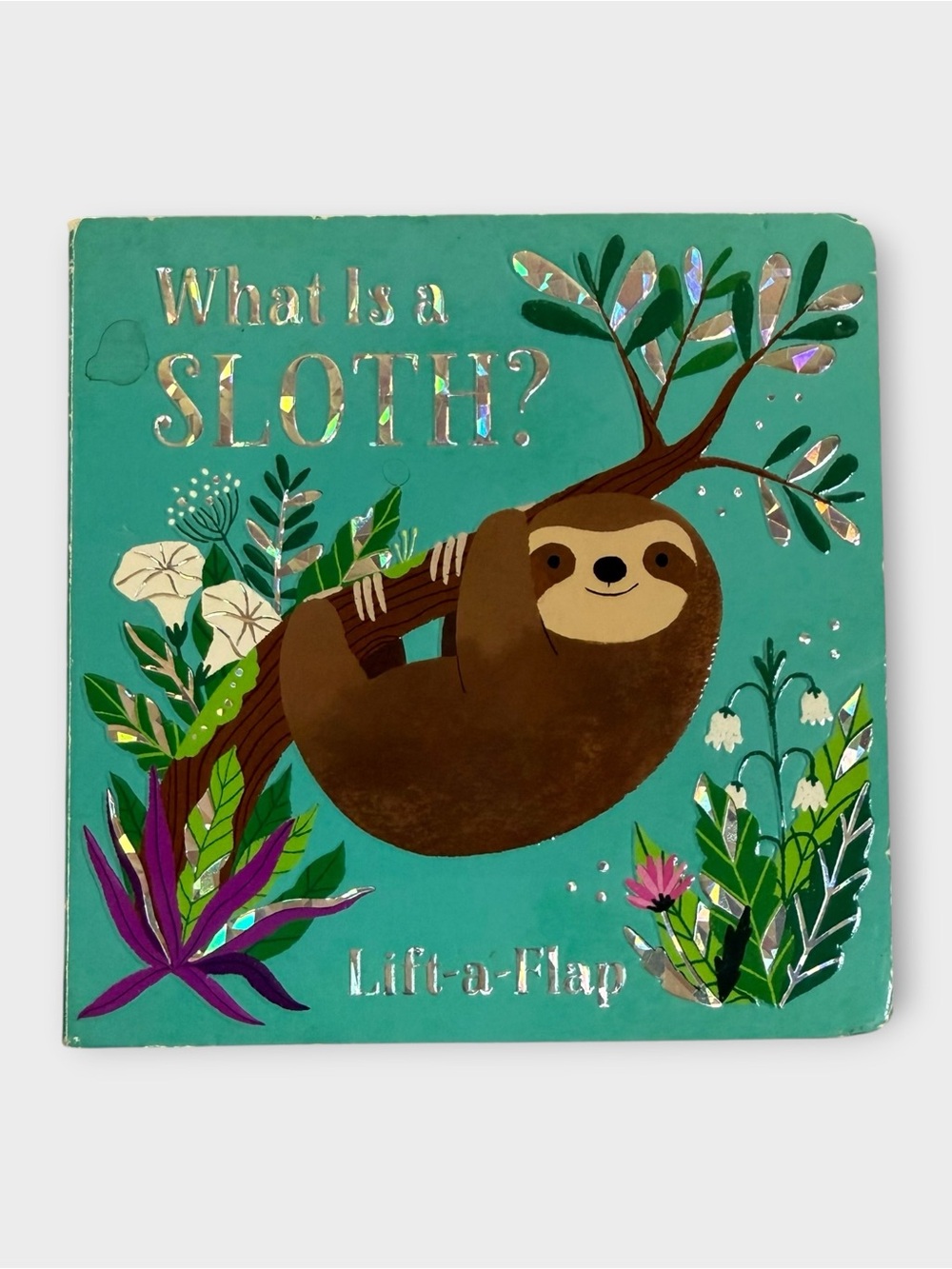 Cottage Door Press What Is a Sloth? Lift-a-Flap Baby Board Book, 6m+